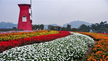 庆渝北古路盛世花都一日游(重庆出发)怎么样\/好