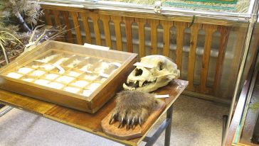 【含两餐+旅游签证费】俄罗斯博尔贾+后贝加