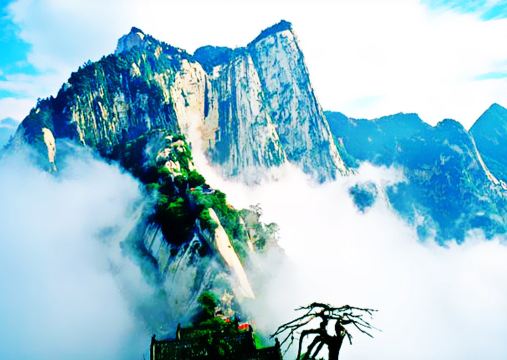 【华山 (陕西省华阴市华山)】特色景点:图文详情请扫码前往【微信小