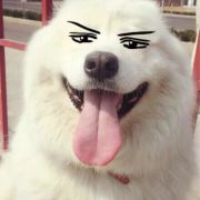 于无声处拉谢特