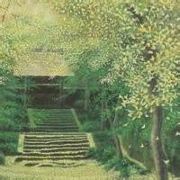 ZL一路平安n6