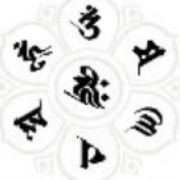 大白鲨