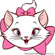 豆娘00