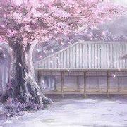 丁香花开wn2973