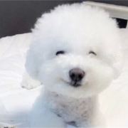 小太阳