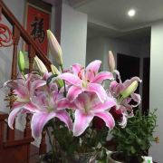 旅途愉快平安快乐