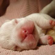 淡蓝色的水晶L1