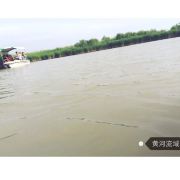 她们都说我是钢铁侠