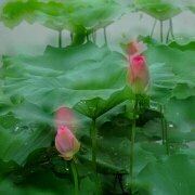 逆风顺水