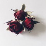 清清宝