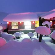 雪乡车队大总管