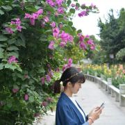 肥妹i