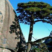 天鑫达