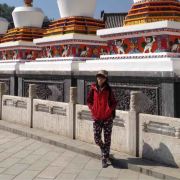 devwida