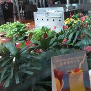 为什么机票总是那么贵