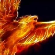 phoenixhzx