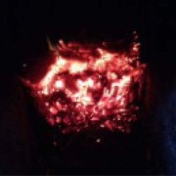 会飞的小燕子70045