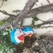 加菲熊猫爱喵宝