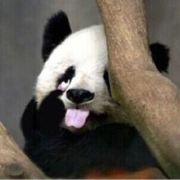 铛铛