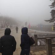 艾丽儿公主