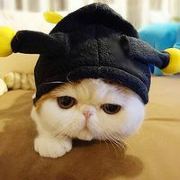 海带丝瑞