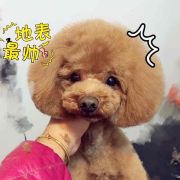 宝贝柒柒