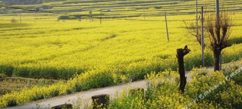 歙县深渡墨人居农家乐客栈图片