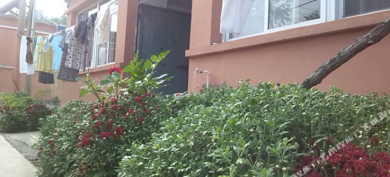 觉华岛渔家旺家庭宾馆图片