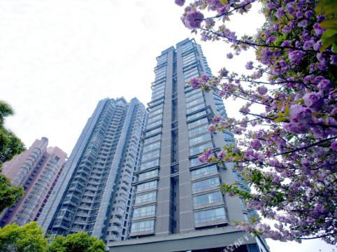 上海天茂濱江行政公寓