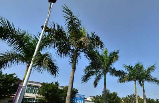 惠州雅馨商务宾馆