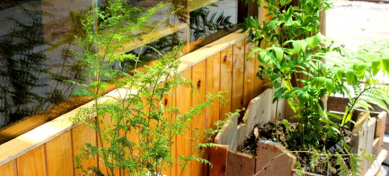 肇兴左岸驿站图片