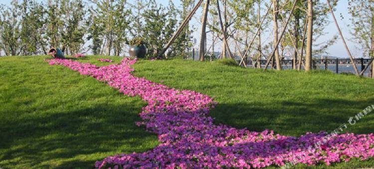 烟台龙湖葡醍海湾别墅壹号苑图片