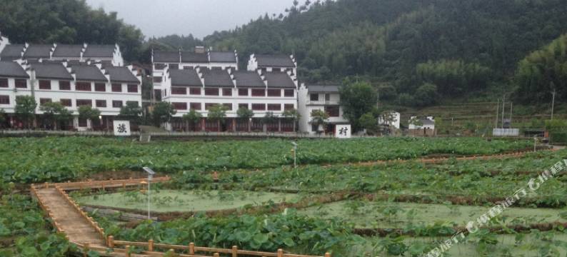 丽水诗画利山农家乐图片