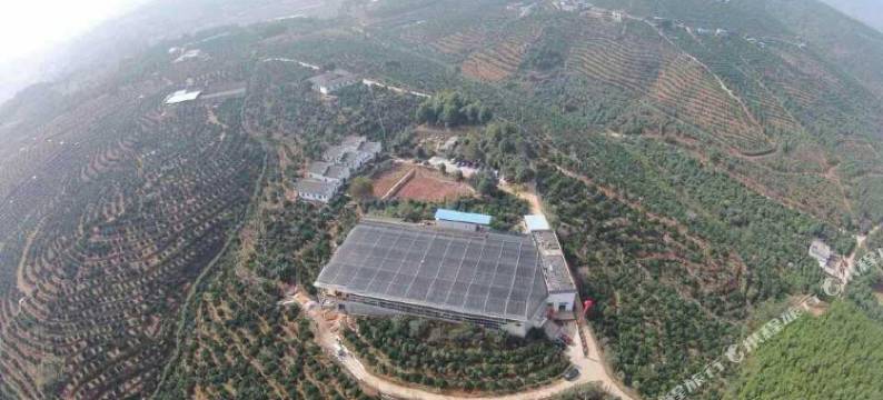 宜章平乐山庄图片