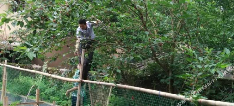 云水谣老墙农家乐图片