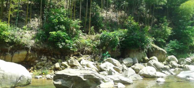 安吉越红农庄图片