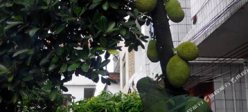 阳西沙扒湾小狸民居图片