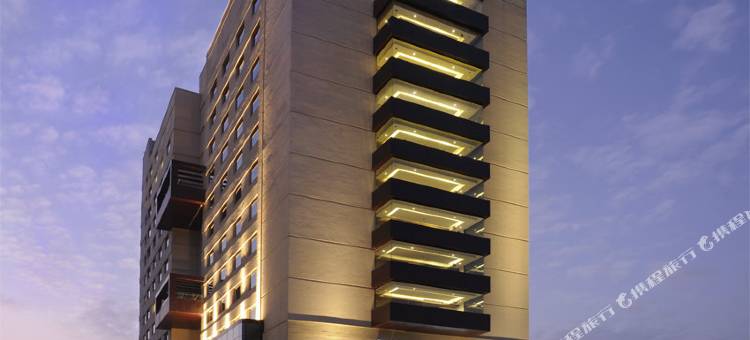 古尔冈希尔顿逸林酒店(DoubleTree by Hilton Gurgaon)图片