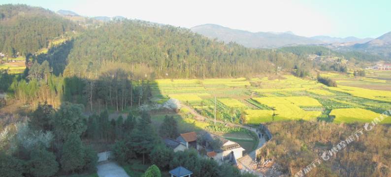 罗平佳成大酒店图片