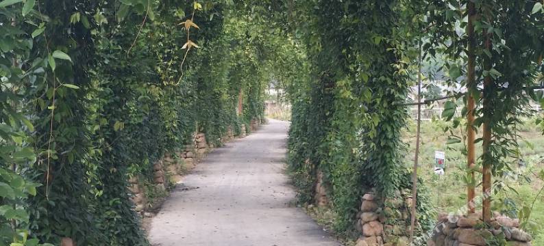 安吉大里天然居农家图片