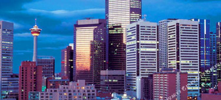 自由港贝斯特韦斯特精品套房酒店(Best Western Premier Freeport Inn Calgary Airport)图片