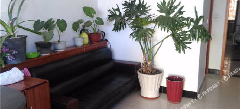 承德宜宾旅馆图片