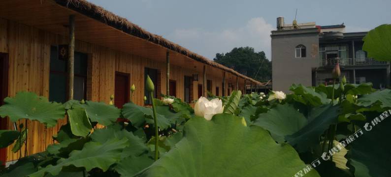 普者黑原始部落·荷篱茅舍图片