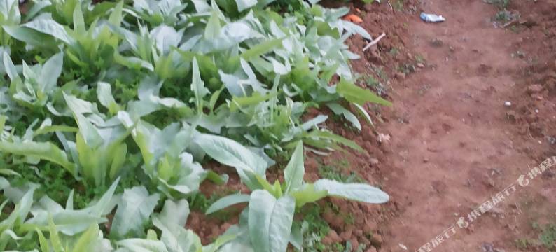 贺州乐居乡舍图片