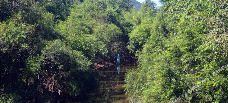 扎兰屯柴富旅店图片