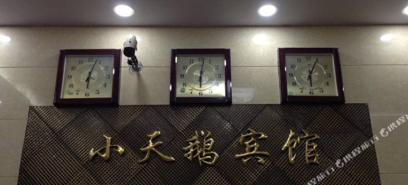 荣县小天鹅宾馆图片