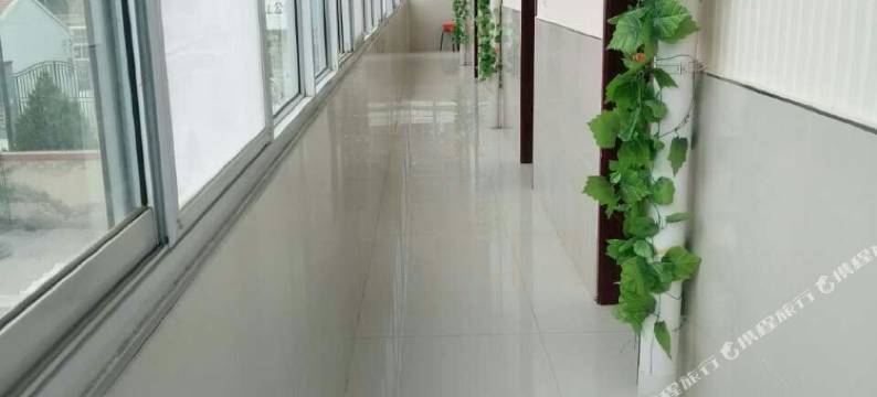 涞源老齐农家院图片