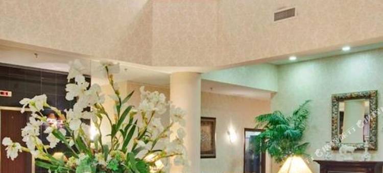 假日酒店及套房密西沙加西/梅多维尔(Holiday Inn & Suites Mississauga West - Meadowvale)图片