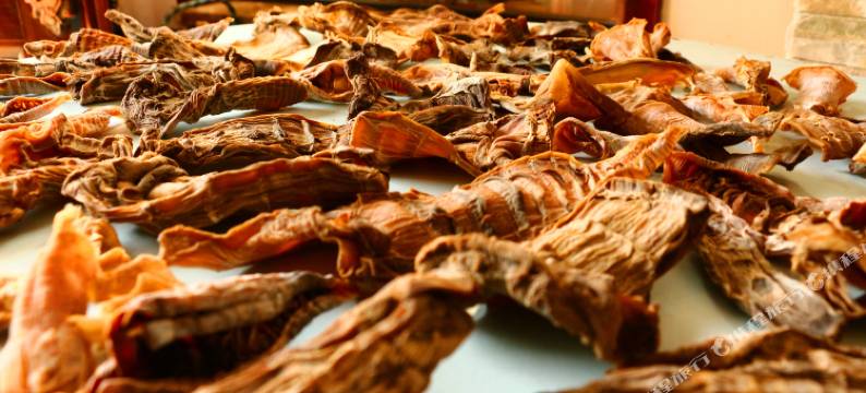 莫干山野奢民宿图片