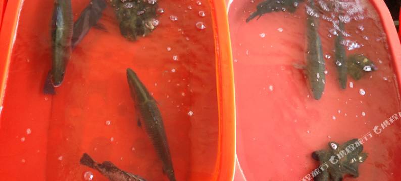 舟山桃花岛蓉儿宾馆(农家乐)图片